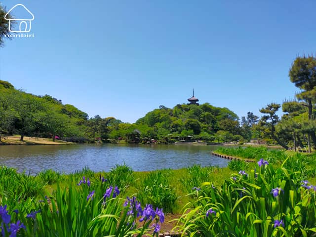 三渓園の写真